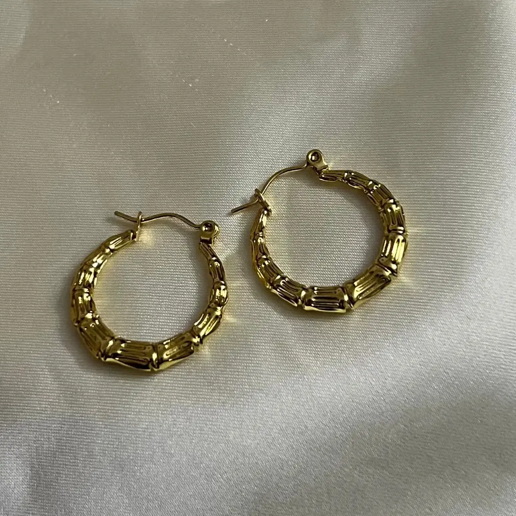 Hoop Earrings