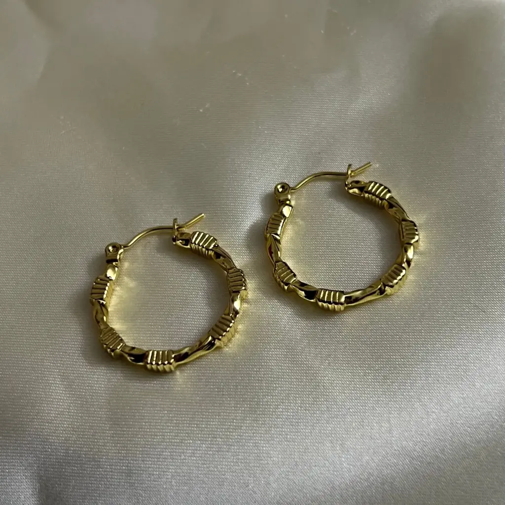 Hoop Earrings