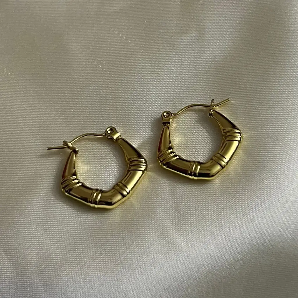 Hoop Earrings
