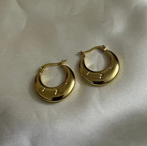 [E-010] Hoop Earrings